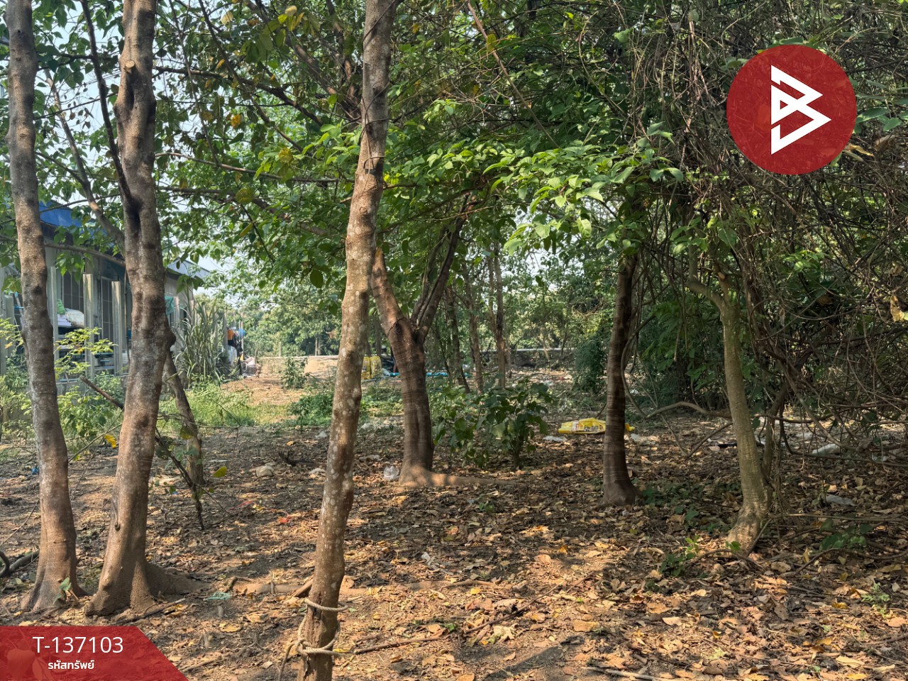 ขายที่ดิน เนื้อที่ 3 งาน 96 ตร.วา หางดง เชียงใหม่ 10