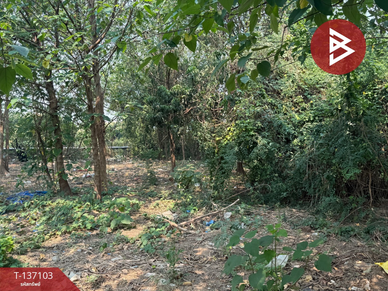 ขายที่ดิน เนื้อที่ 3 งาน 96 ตร.วา หางดง เชียงใหม่ 12