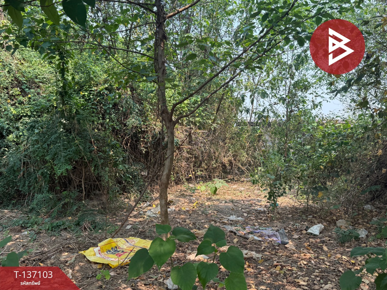 ขายที่ดิน เนื้อที่ 3 งาน 96 ตร.วา หางดง เชียงใหม่ 9