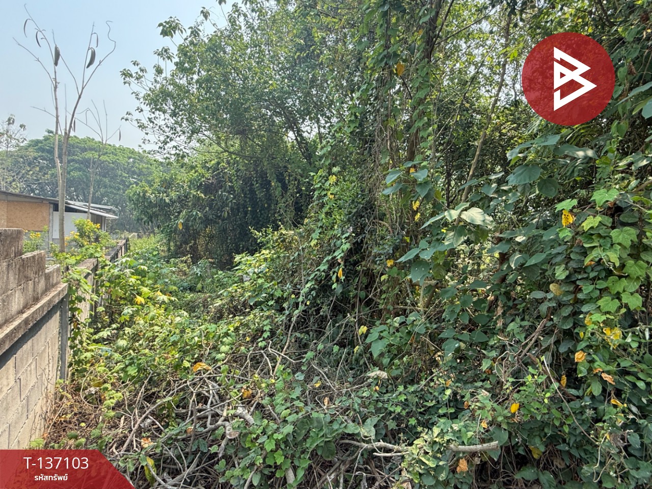 ขายที่ดิน เนื้อที่ 3 งาน 96 ตร.วา หางดง เชียงใหม่ 4