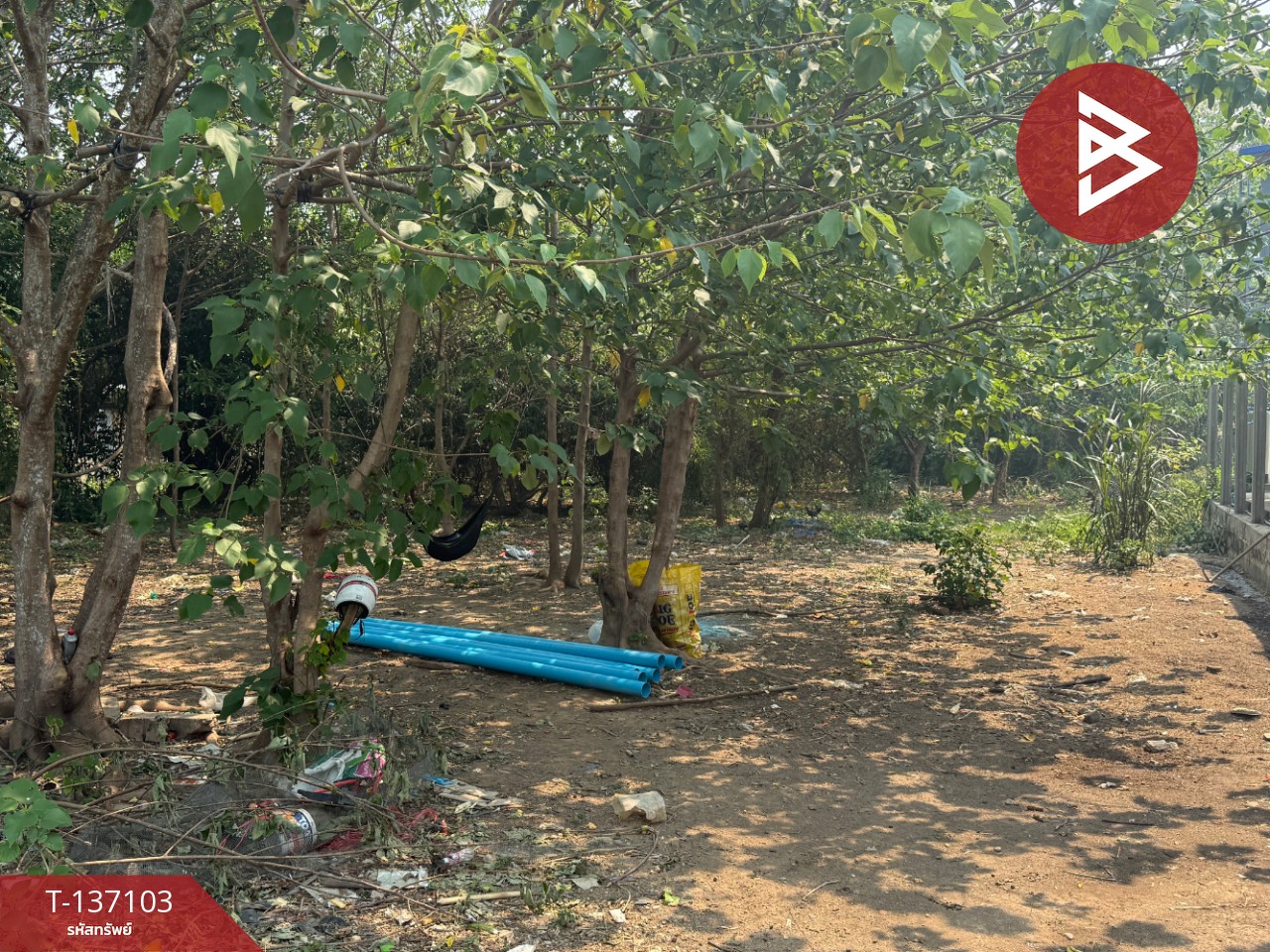 ขายที่ดิน เนื้อที่ 3 งาน 96 ตร.วา หางดง เชียงใหม่ 7