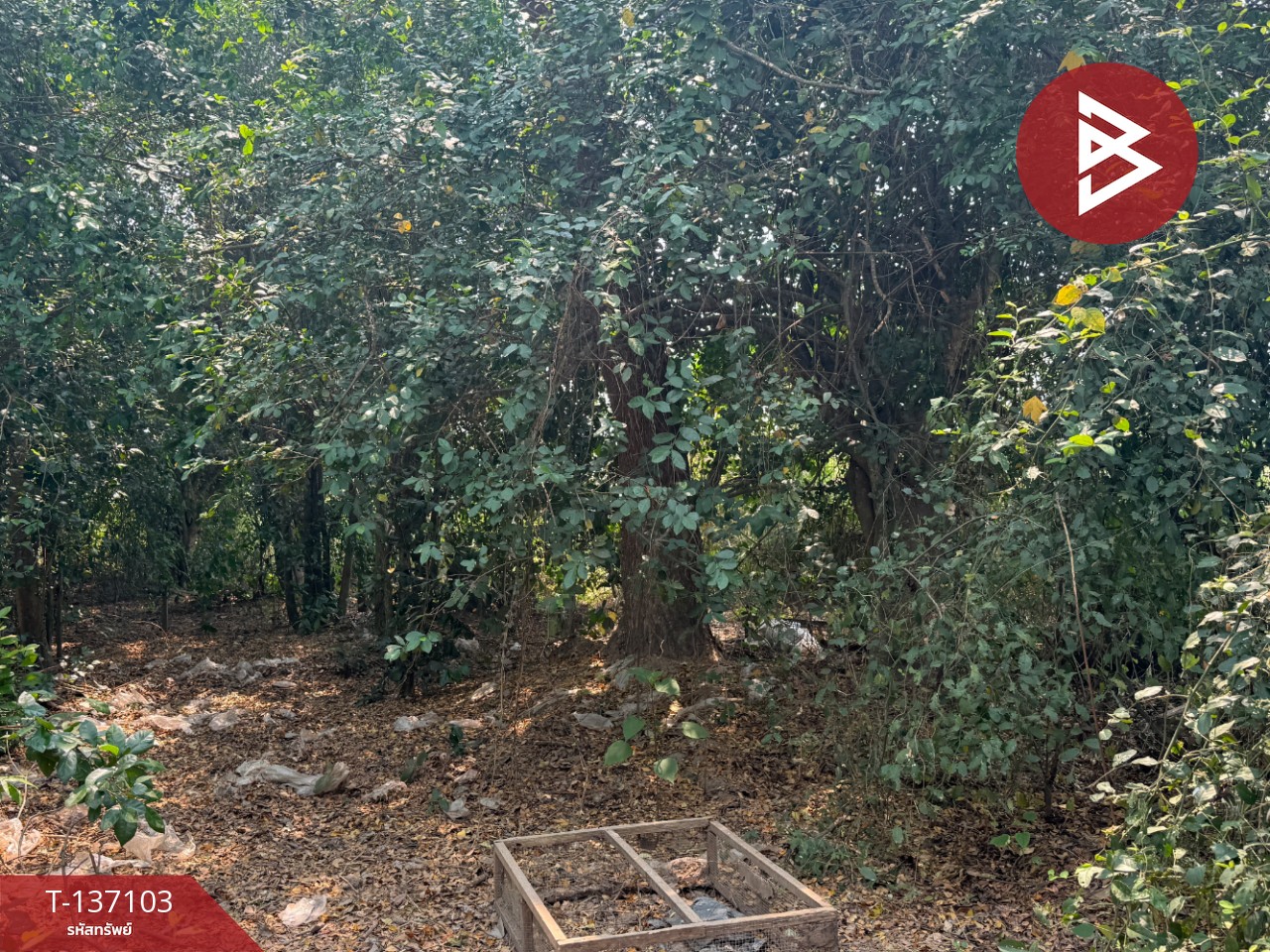 ขายที่ดิน เนื้อที่ 3 งาน 96 ตร.วา หางดง เชียงใหม่ 6