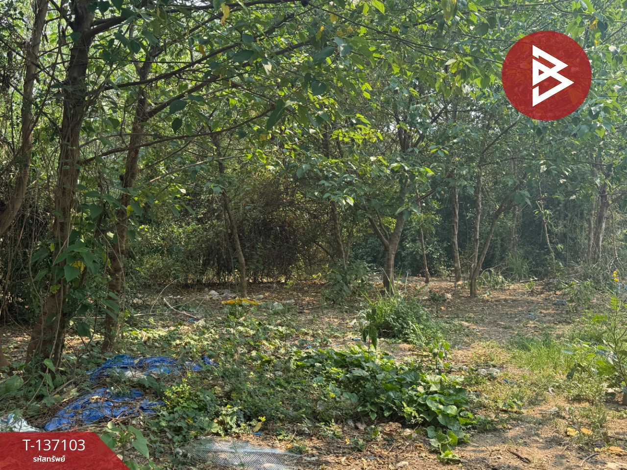 ขายที่ดิน เนื้อที่ 3 งาน 96 ตร.วา หางดง เชียงใหม่ 11