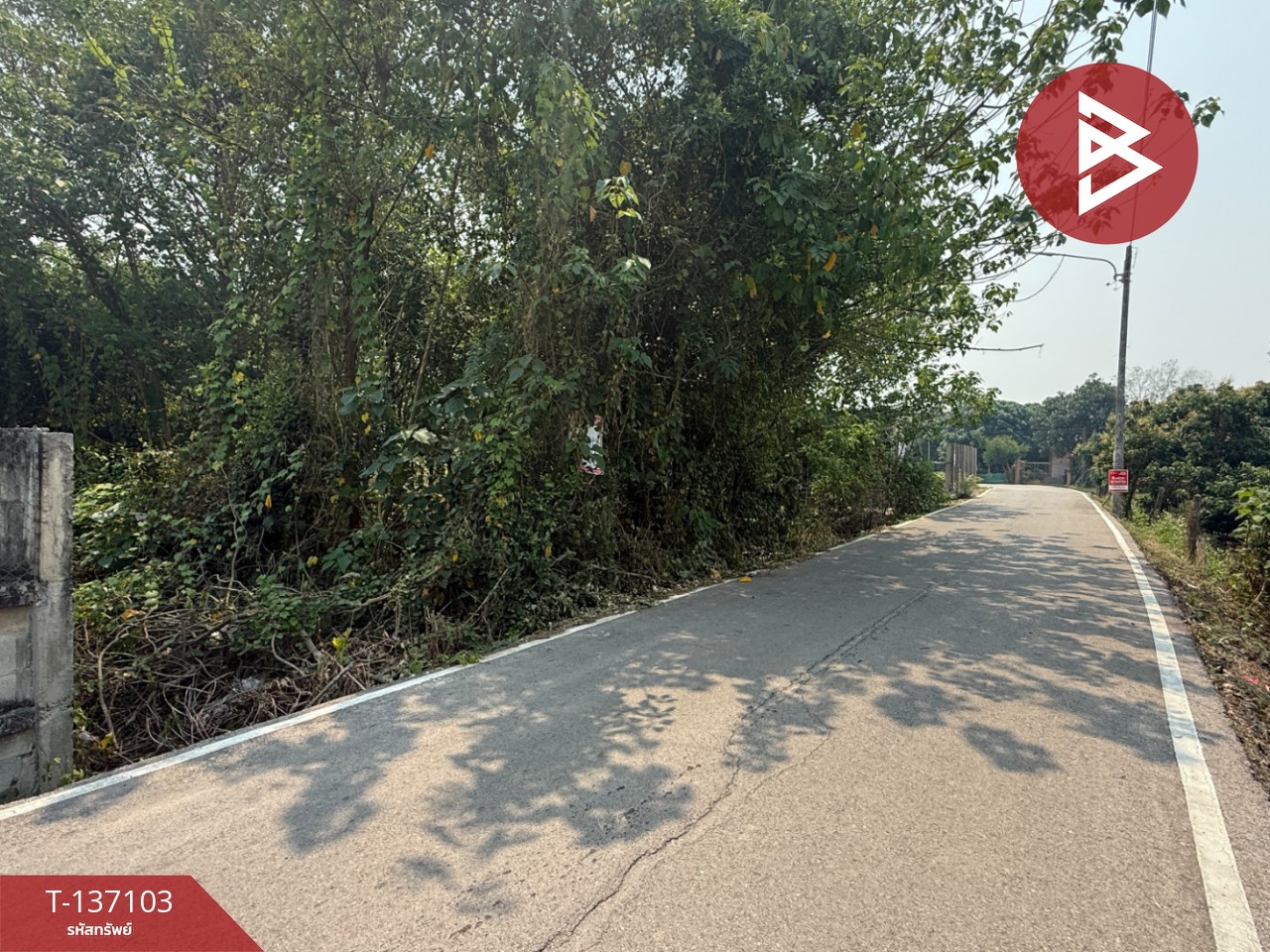 ขายที่ดิน เนื้อที่ 3 งาน 96 ตร.วา หางดง เชียงใหม่ 3