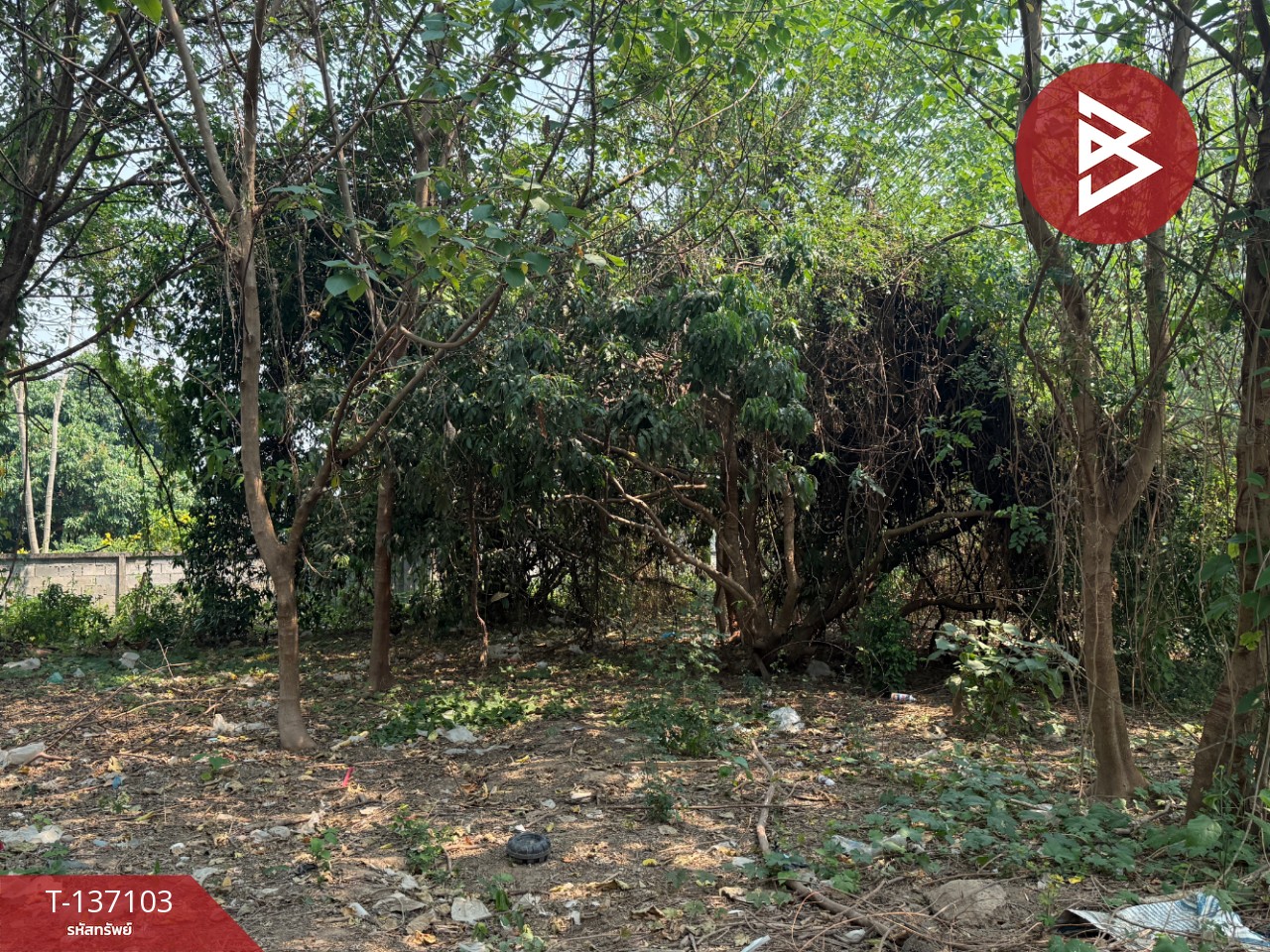 ขายที่ดิน เนื้อที่ 3 งาน 96 ตร.วา หางดง เชียงใหม่ 14