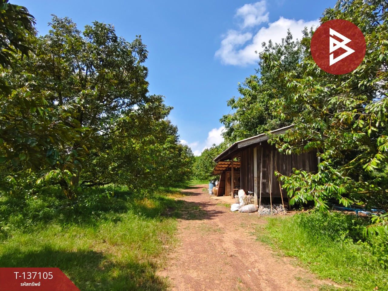 ขายที่ดิน เนื้อที่ 9 ไร่ 2 งาน 7 ตร.วา นายายอาม จันทบุรี 4