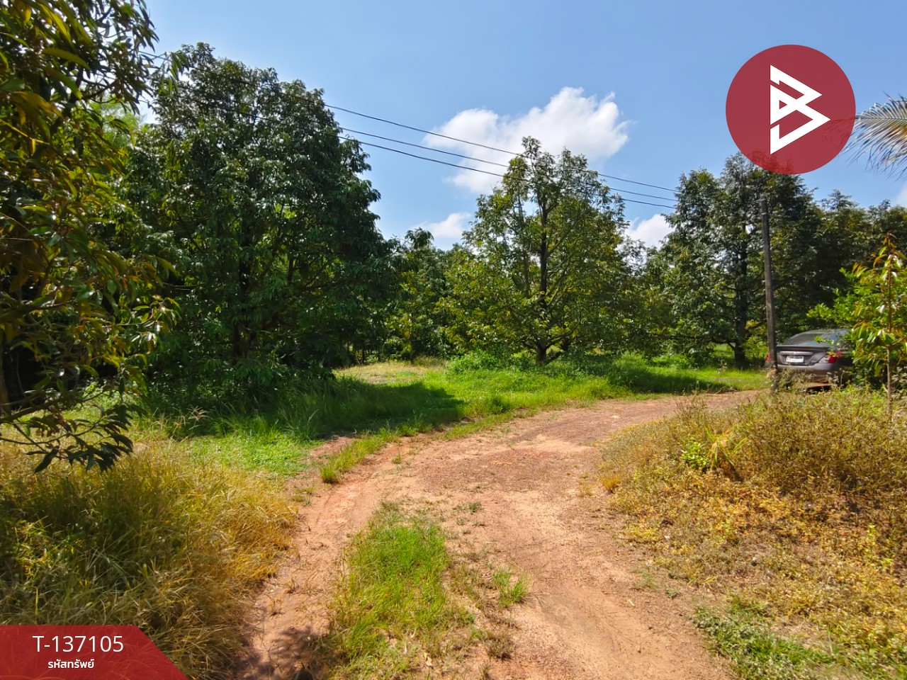 ขายที่ดิน เนื้อที่ 9 ไร่ 2 งาน 7 ตร.วา นายายอาม จันทบุรี 5