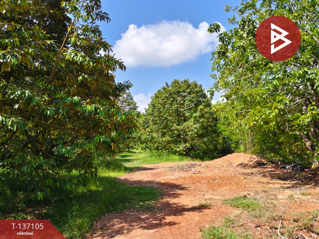 ขายที่ดิน เนื้อที่ 9 ไร่ 2 งาน 7 ตร.วา นายายอาม จันทบุรี 10