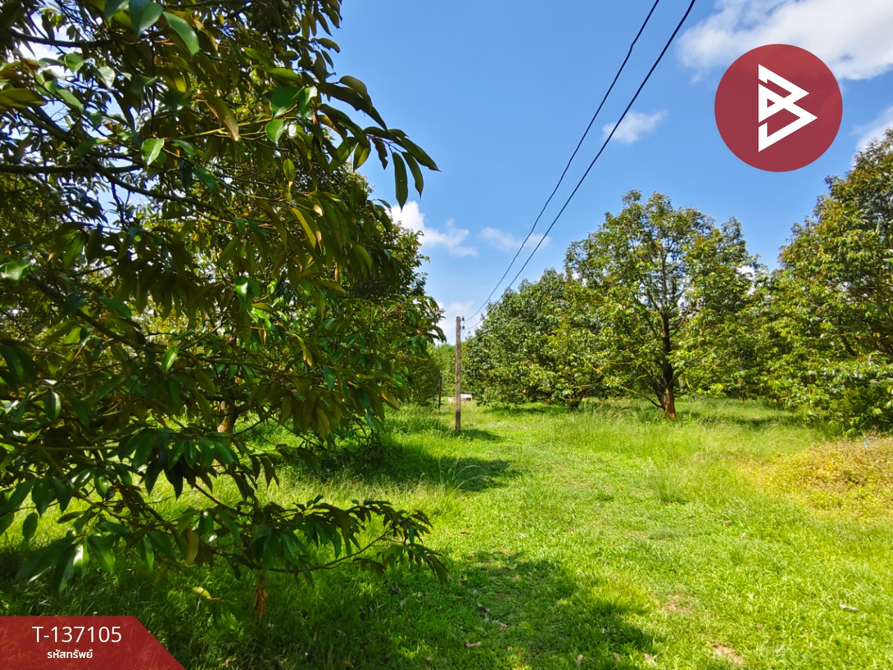 ขายที่ดิน เนื้อที่ 9 ไร่ 2 งาน 7 ตร.วา นายายอาม จันทบุรี 1