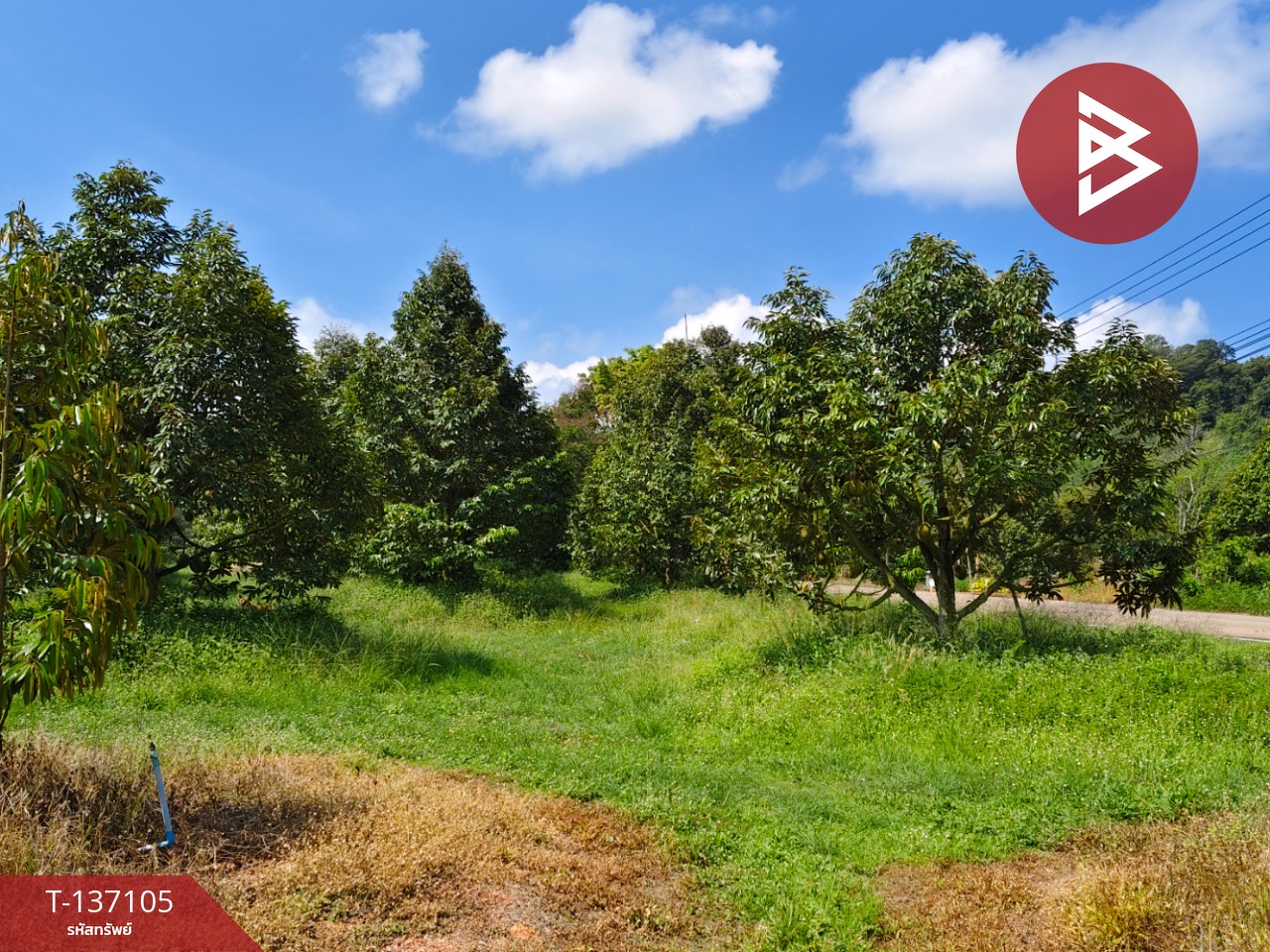 ขายที่ดิน เนื้อที่ 9 ไร่ 2 งาน 7 ตร.วา นายายอาม จันทบุรี 8