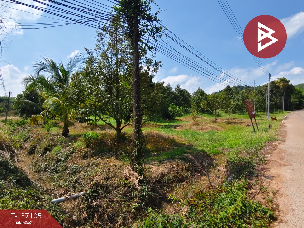 ขายที่ดิน เนื้อที่ 9 ไร่ 2 งาน 7 ตร.วา นายายอาม จันทบุรี 6