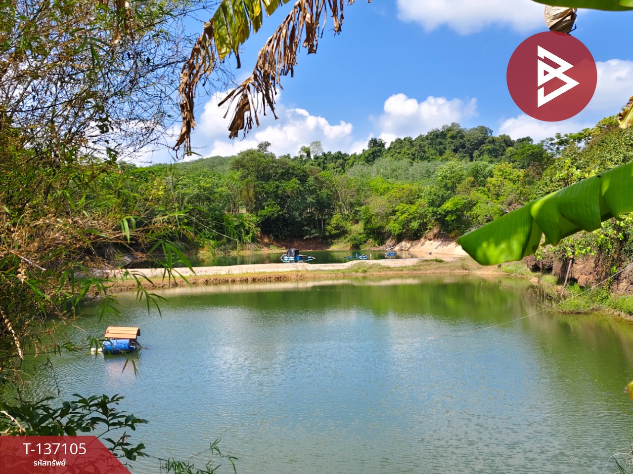 ขายที่ดิน เนื้อที่ 9 ไร่ 2 งาน 7 ตร.วา นายายอาม จันทบุรี 11