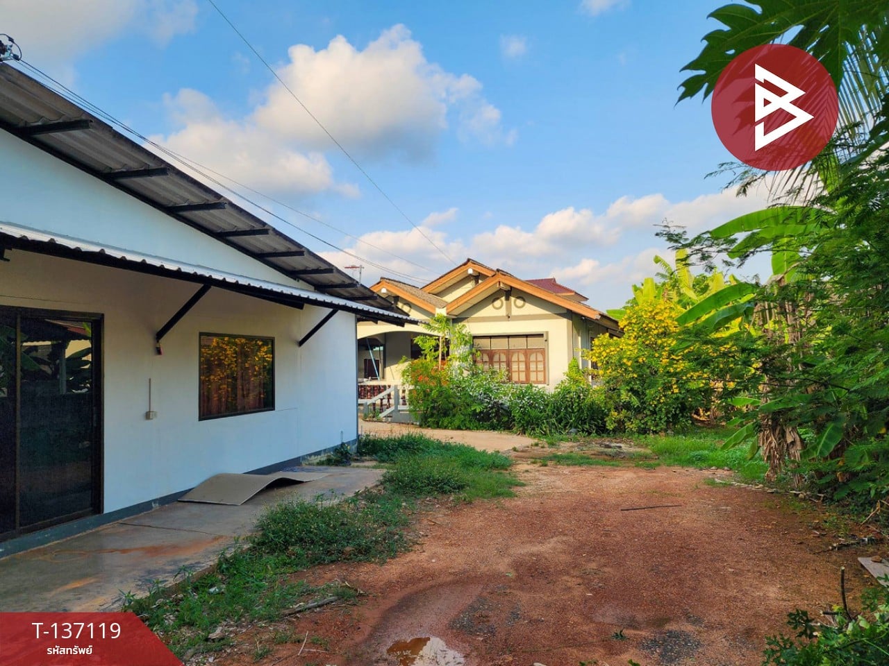 ขายบ้านเดี่ยวชั้นเดียว เนื้อที่ 1 งาน 98.4 ตร.วา เพ ระยอง 4