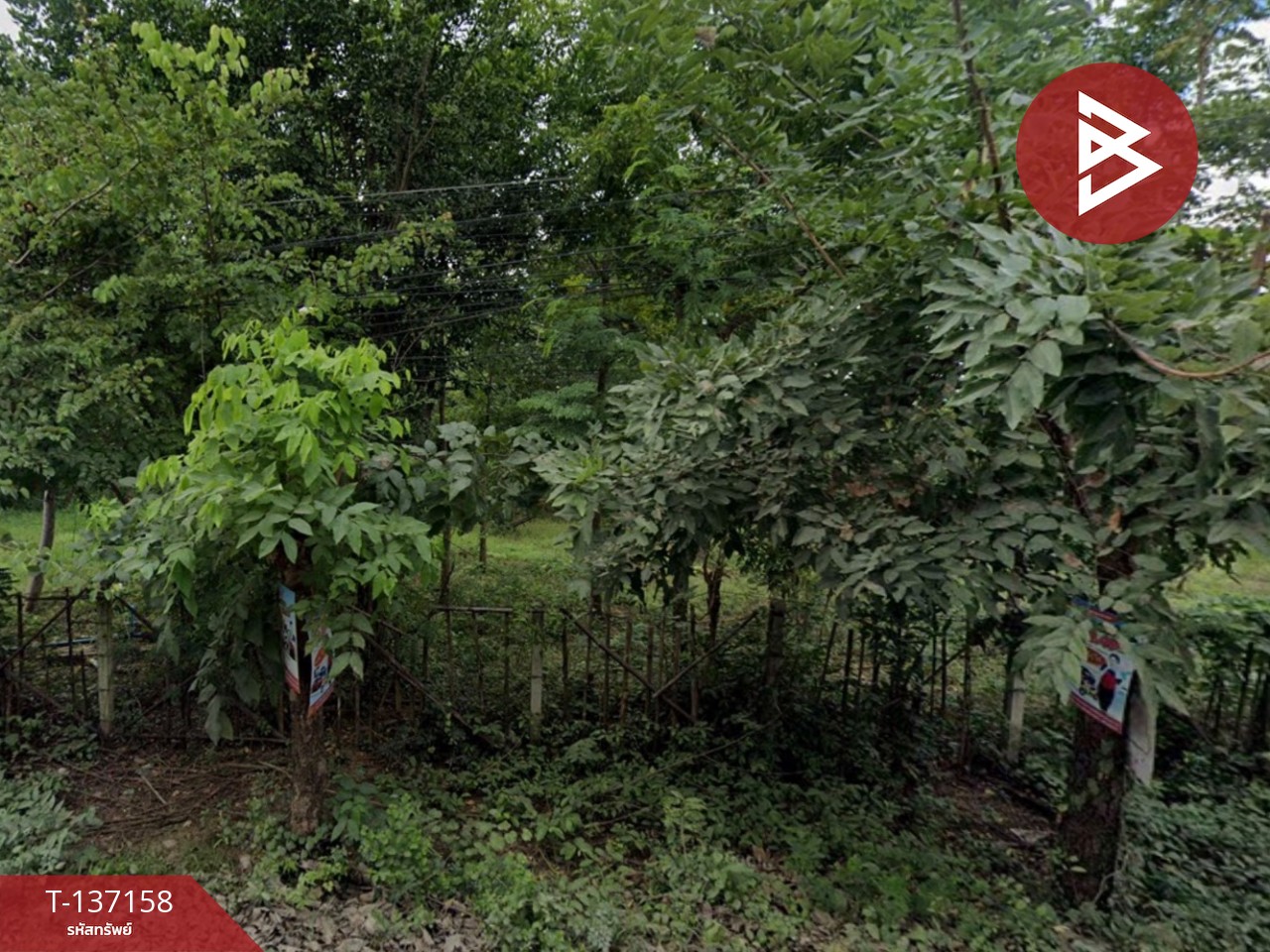 ขายที่ดิน เนื้อที่ 1 ไร่ 3 งาน 34 ตร.วา พล ขอนแก่น 5