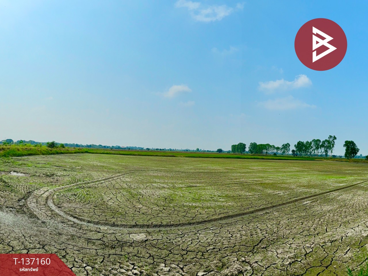 ขายที่ดิน เนื้อที่ 6 ไร่ 1 งาน 78 ตร.วา พรหมบุรี สิงห์บุรี 6