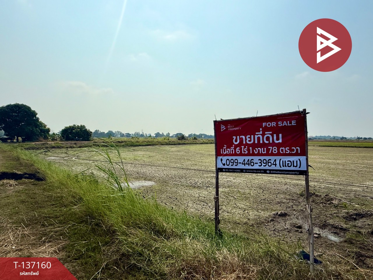 ขายที่ดิน เนื้อที่ 6 ไร่ 1 งาน 78 ตร.วา พรหมบุรี สิงห์บุรี 4