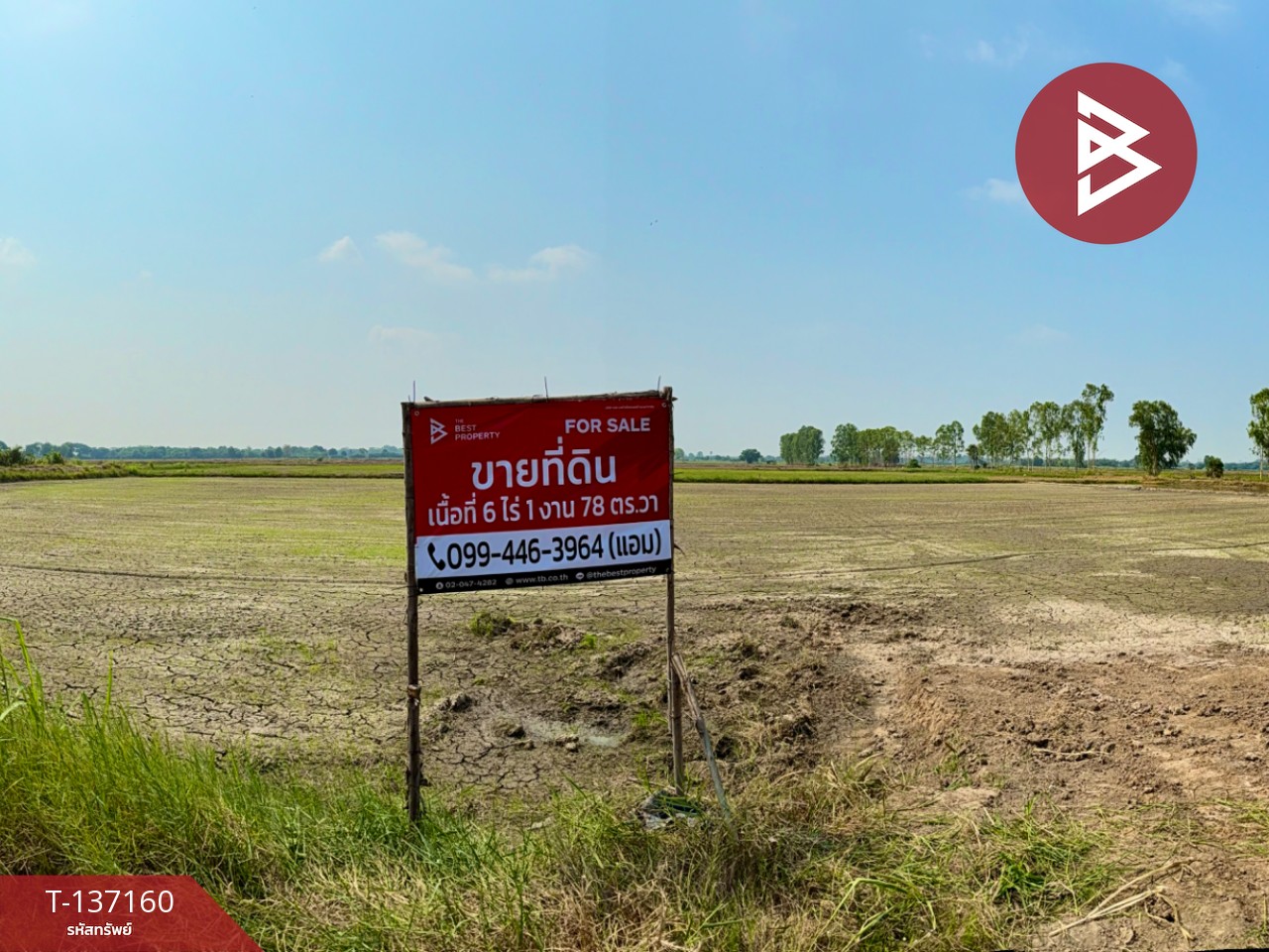 ขายที่ดิน เนื้อที่ 6 ไร่ 1 งาน 78 ตร.วา พรหมบุรี สิงห์บุรี 3