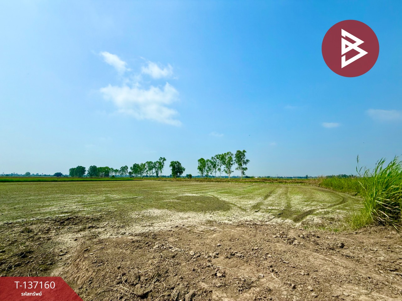 ขายที่ดิน เนื้อที่ 6 ไร่ 1 งาน 78 ตร.วา พรหมบุรี สิงห์บุรี 9