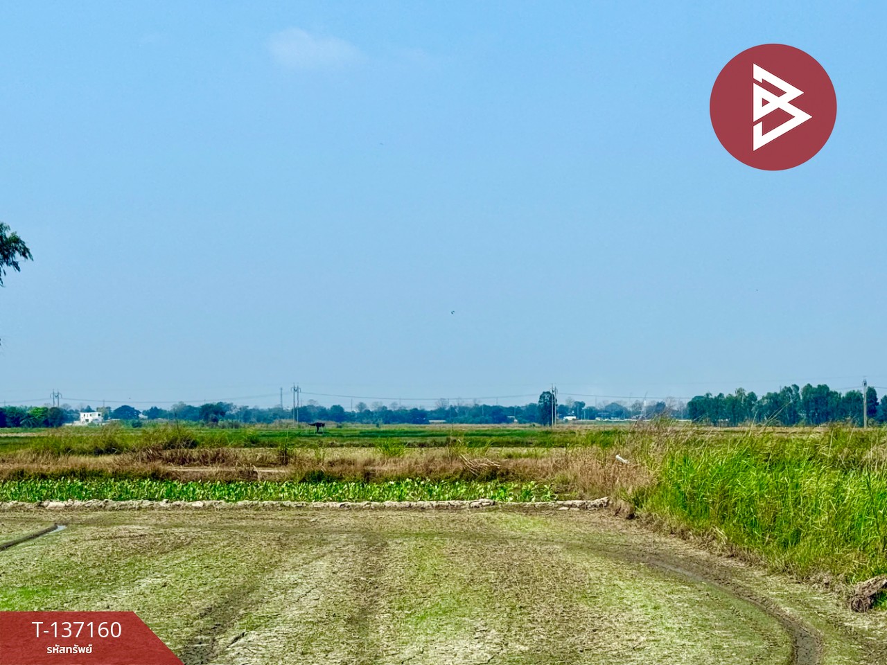 ขายที่ดิน เนื้อที่ 6 ไร่ 1 งาน 78 ตร.วา พรหมบุรี สิงห์บุรี 10