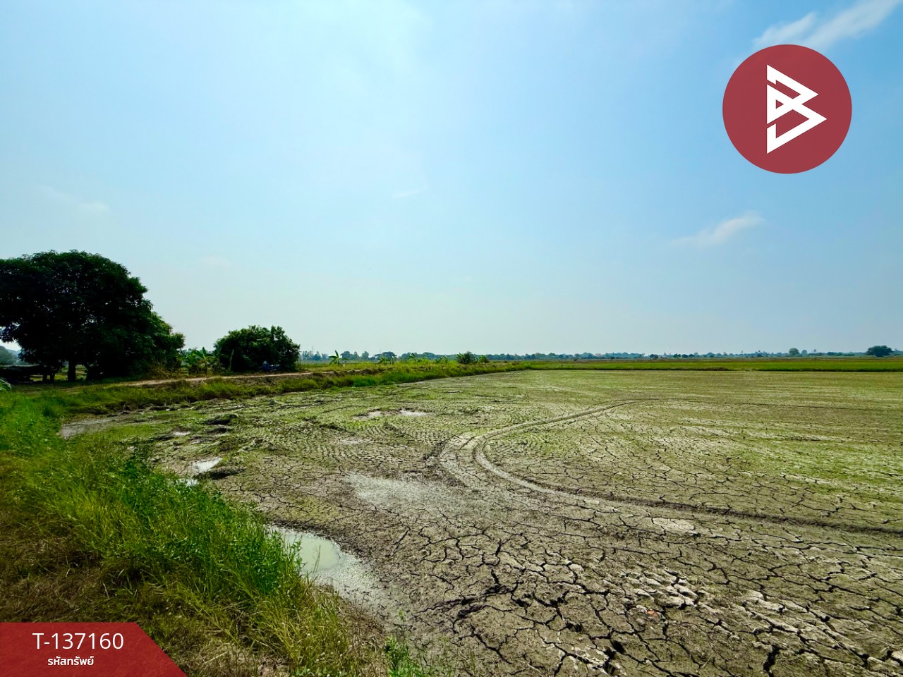 ขายที่ดิน เนื้อที่ 6 ไร่ 1 งาน 78 ตร.วา พรหมบุรี สิงห์บุรี 5