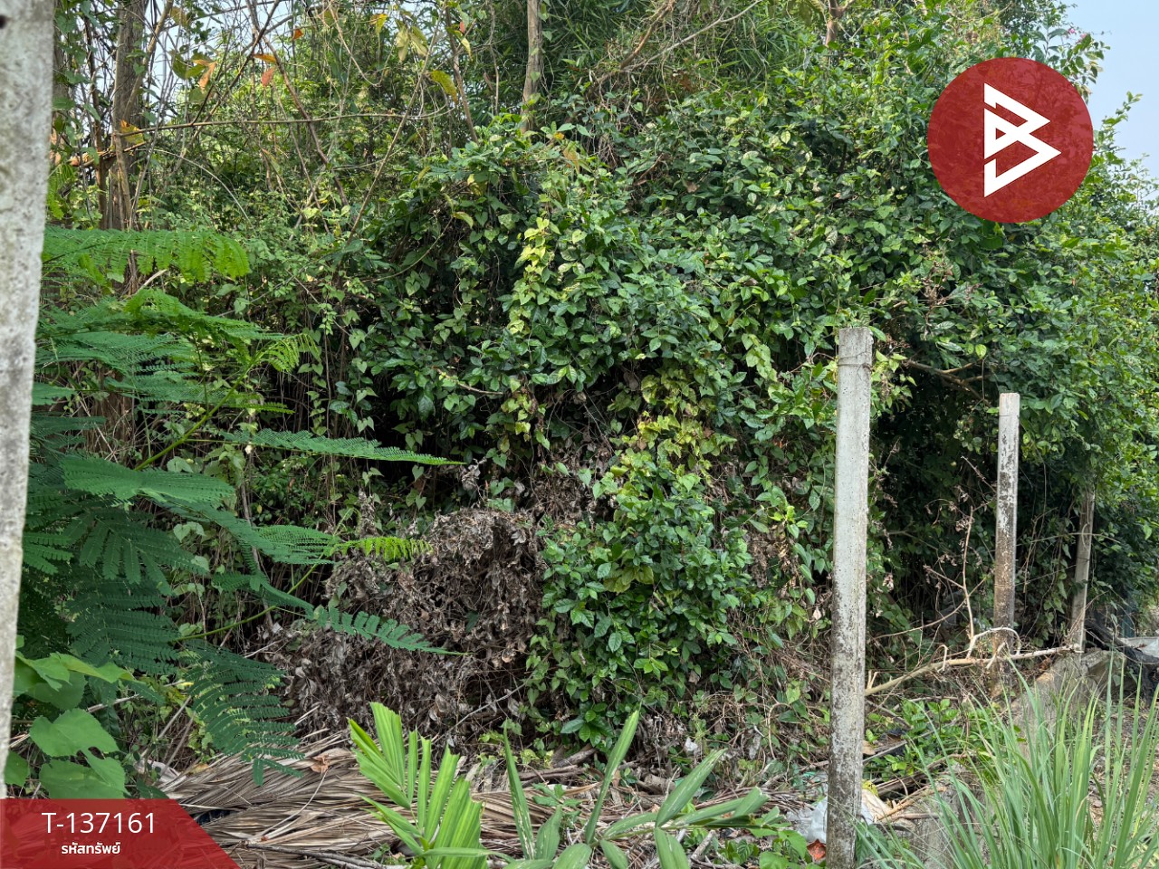 ขายที่ดิน เนื้อที่ 83 ตร.วา สารภี เชียงใหม่ 10