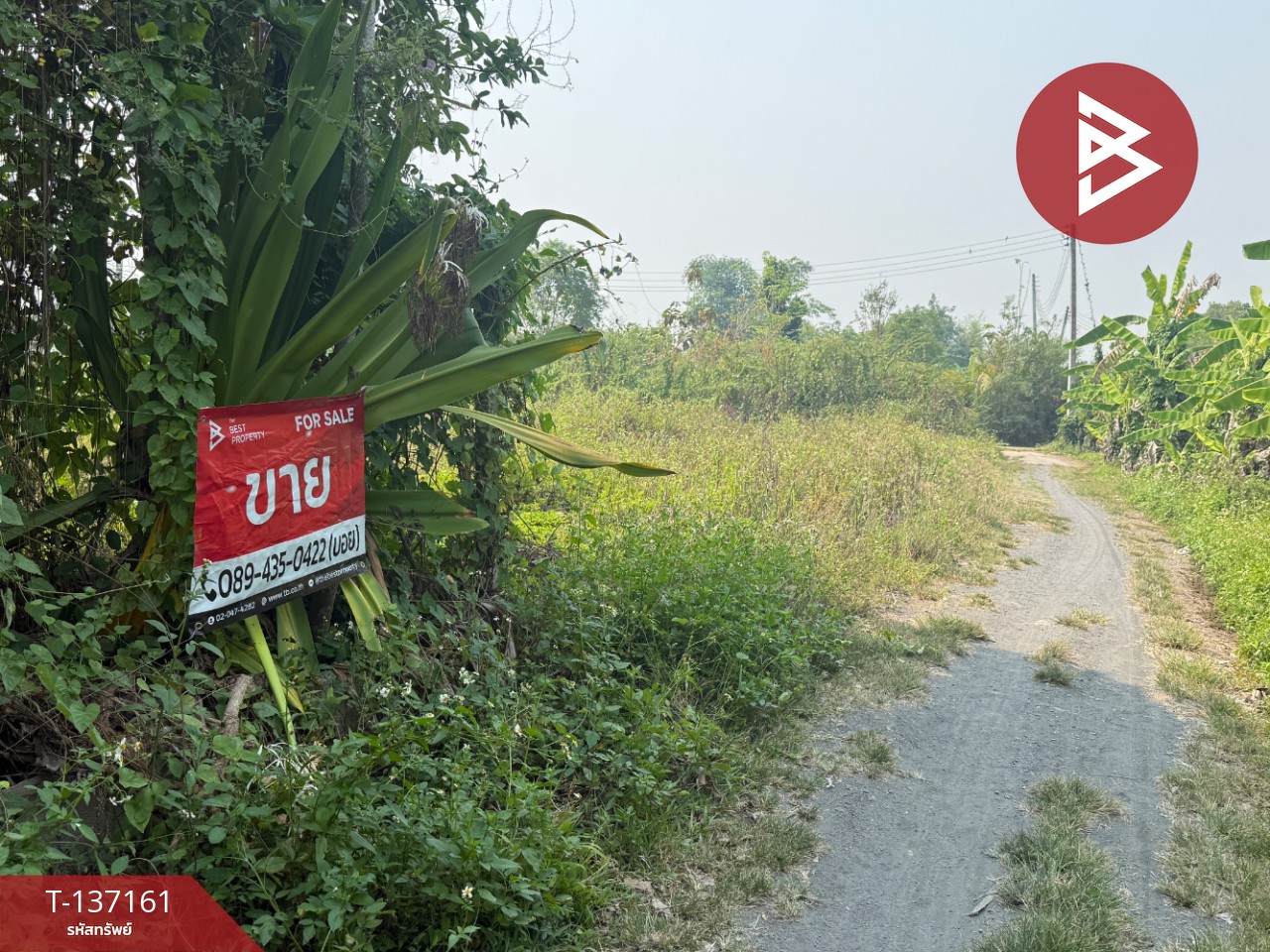 ขายที่ดิน เนื้อที่ 83 ตร.วา สารภี เชียงใหม่ 1