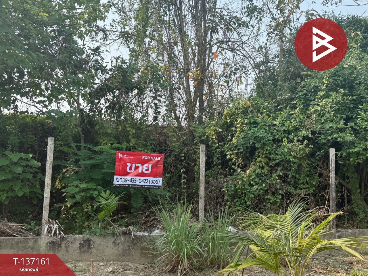 ขายที่ดิน เนื้อที่ 83 ตร.วา สารภี เชียงใหม่ 2