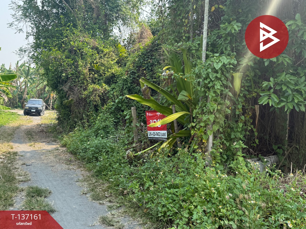 ขายที่ดิน เนื้อที่ 83 ตร.วา สารภี เชียงใหม่ 9