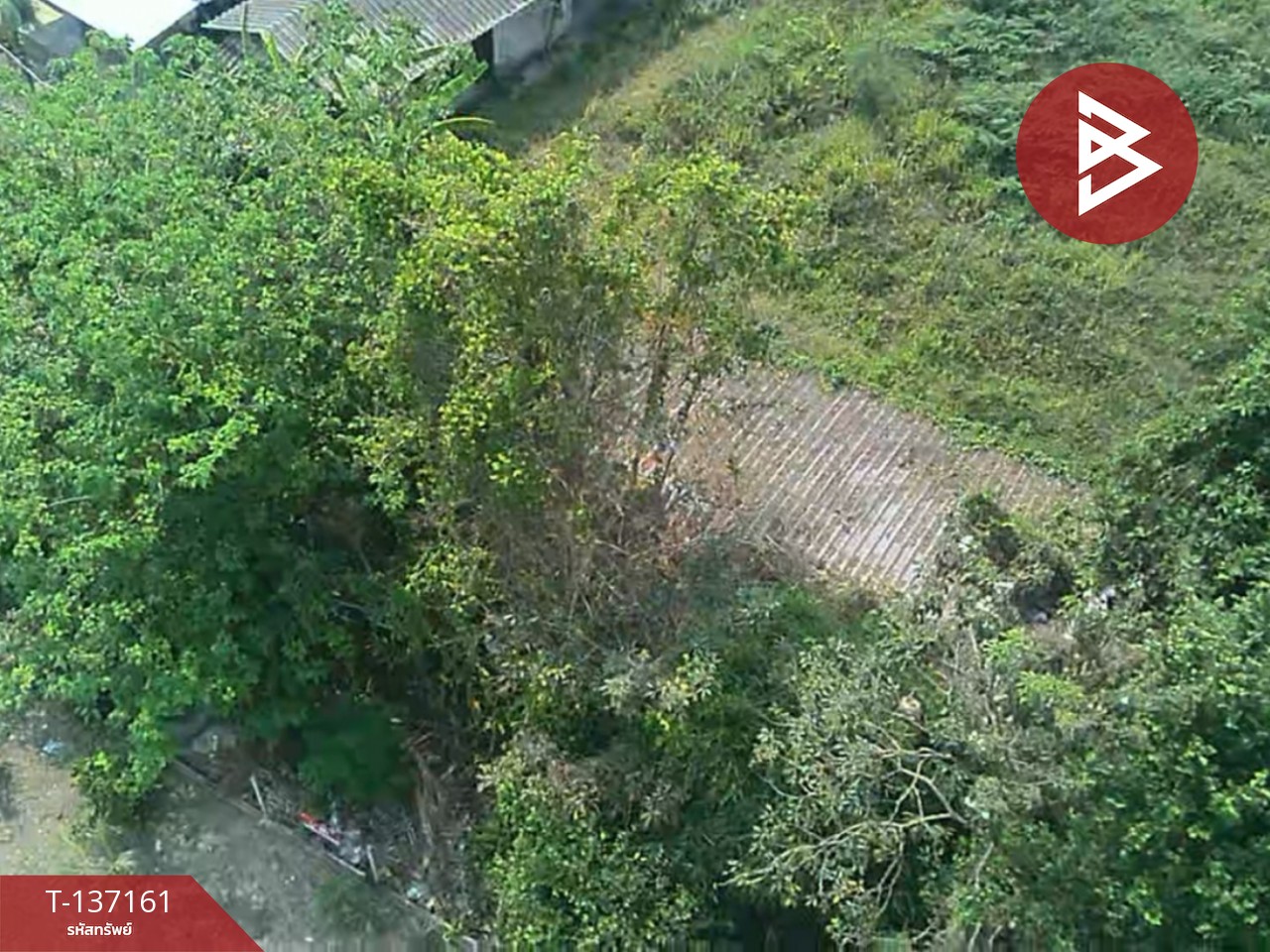 ขายที่ดิน เนื้อที่ 83 ตร.วา สารภี เชียงใหม่ 4