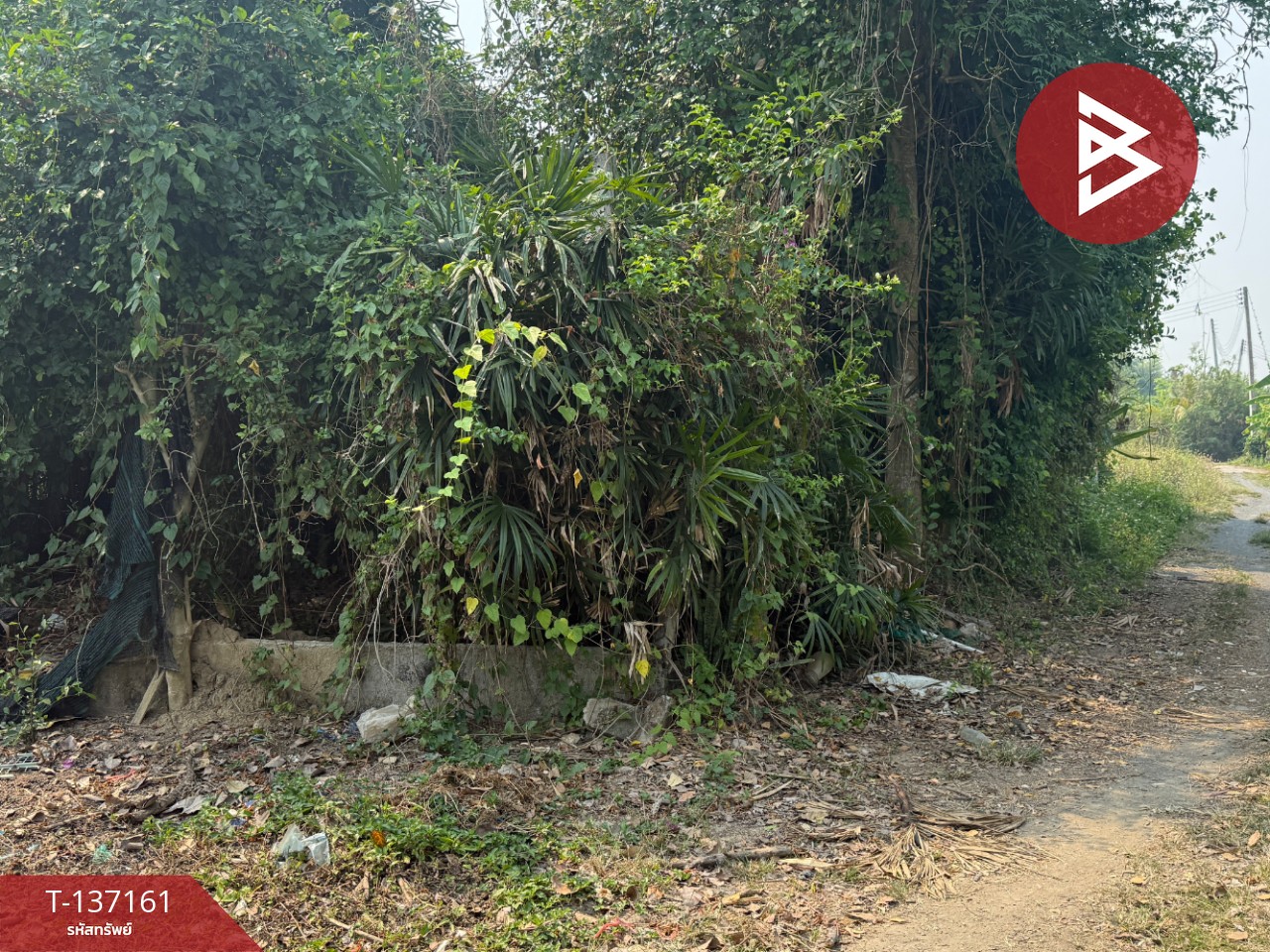 ขายที่ดิน เนื้อที่ 83 ตร.วา สารภี เชียงใหม่ 11