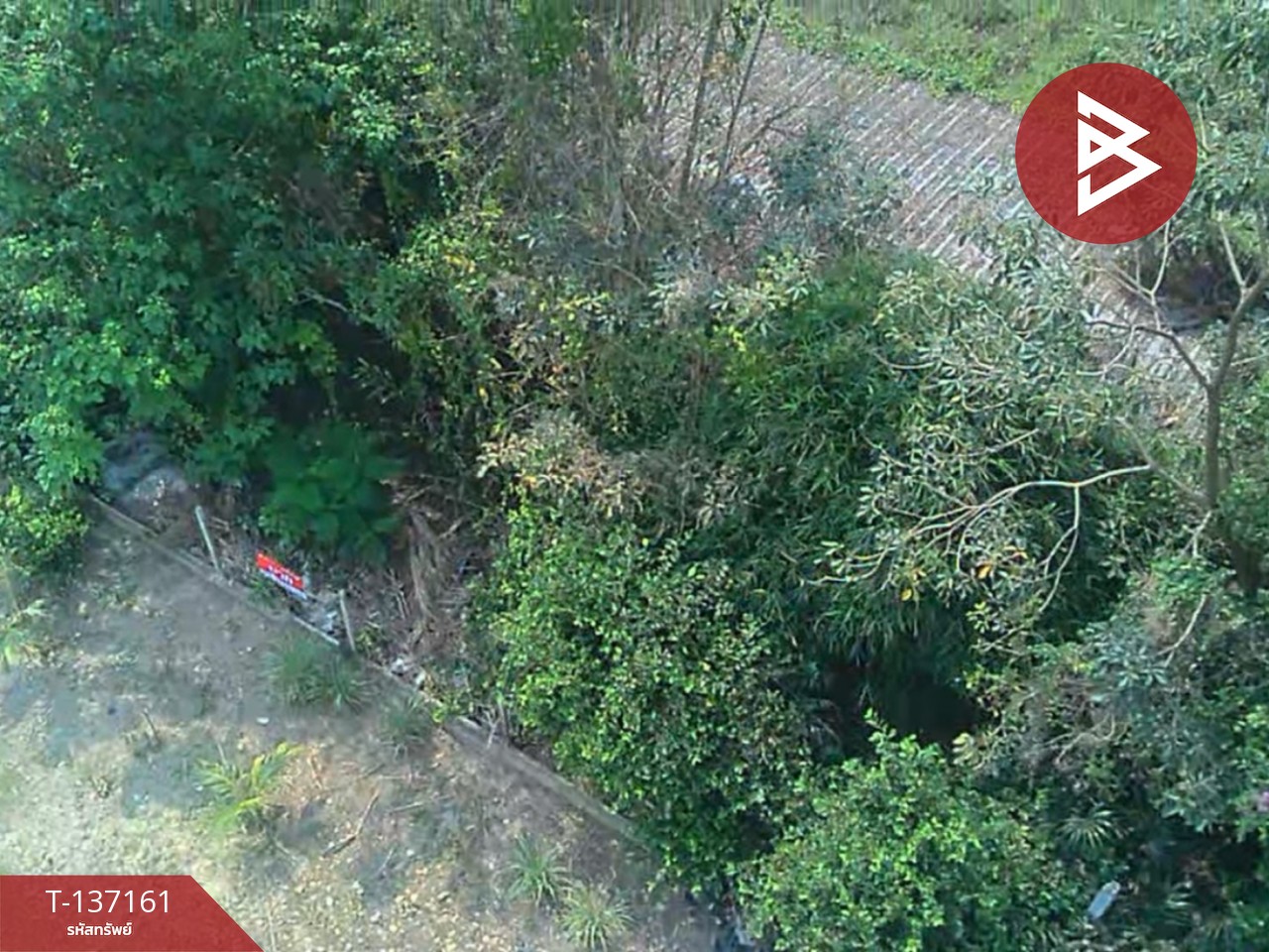 ขายที่ดิน เนื้อที่ 83 ตร.วา สารภี เชียงใหม่ 5