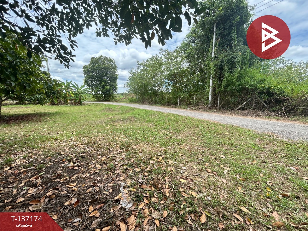 ขายที่ดิน เนื้อที่ 6 ไร่ 2 งาน 97 ตร.วา บ้านโป่ง ราชบุรี ทำเลดีฯ 14