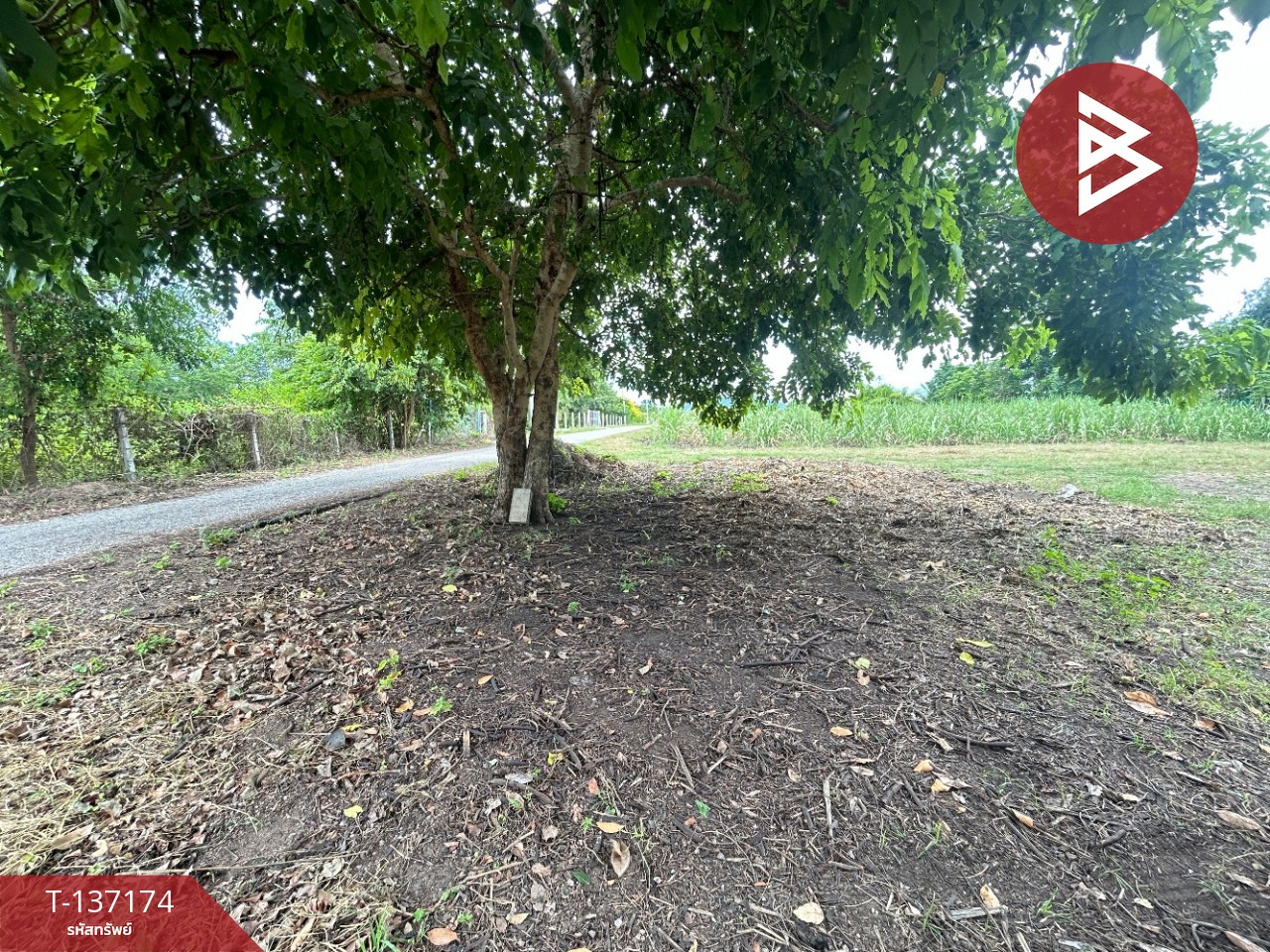 ขายที่ดิน เนื้อที่ 6 ไร่ 2 งาน 97 ตร.วา บ้านโป่ง ราชบุรี ทำเลดีฯ 15