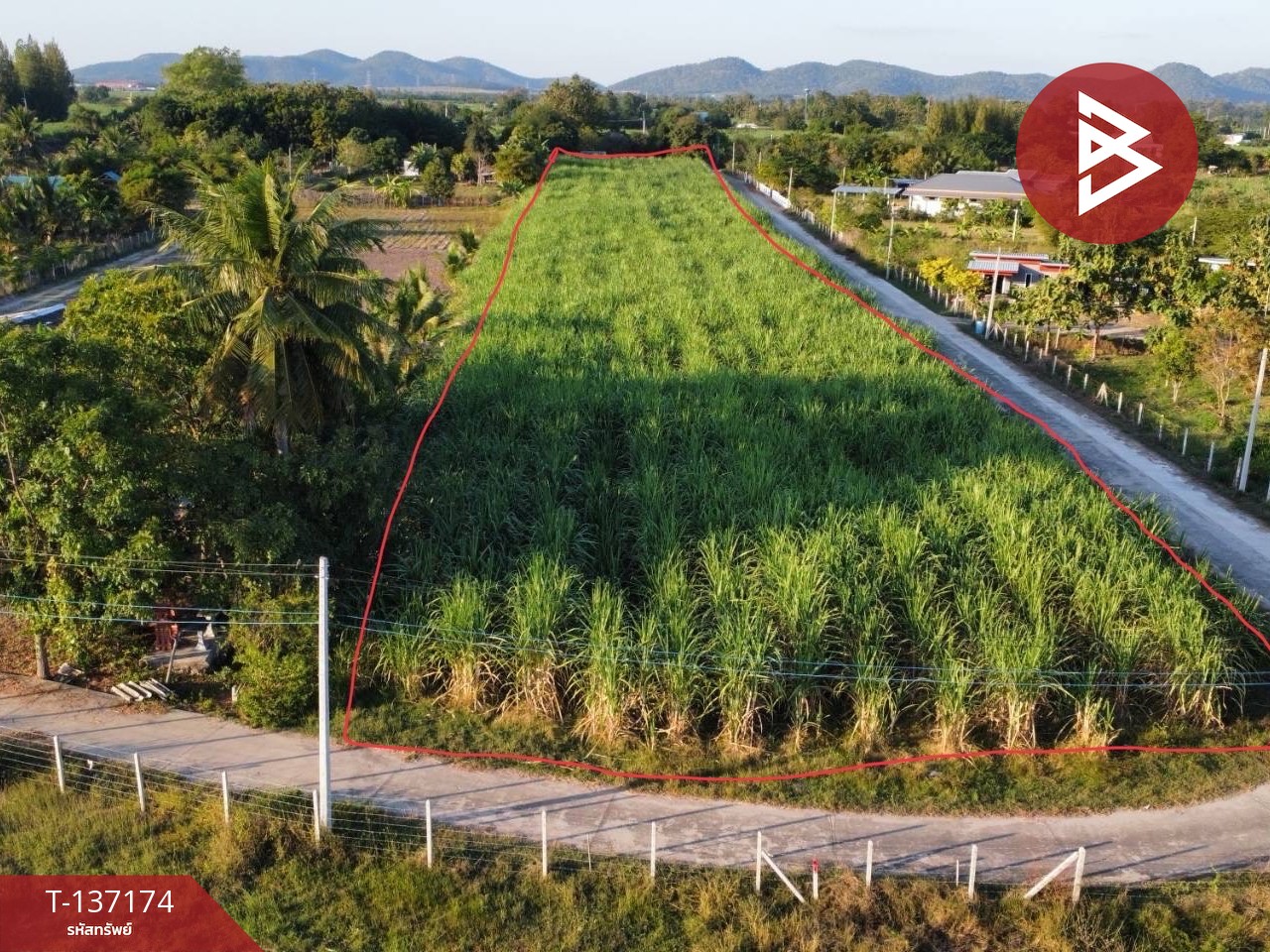 ขายที่ดิน เนื้อที่ 6 ไร่ 2 งาน 97 ตร.วา บ้านโป่ง ราชบุรี ทำเลดีฯ 3