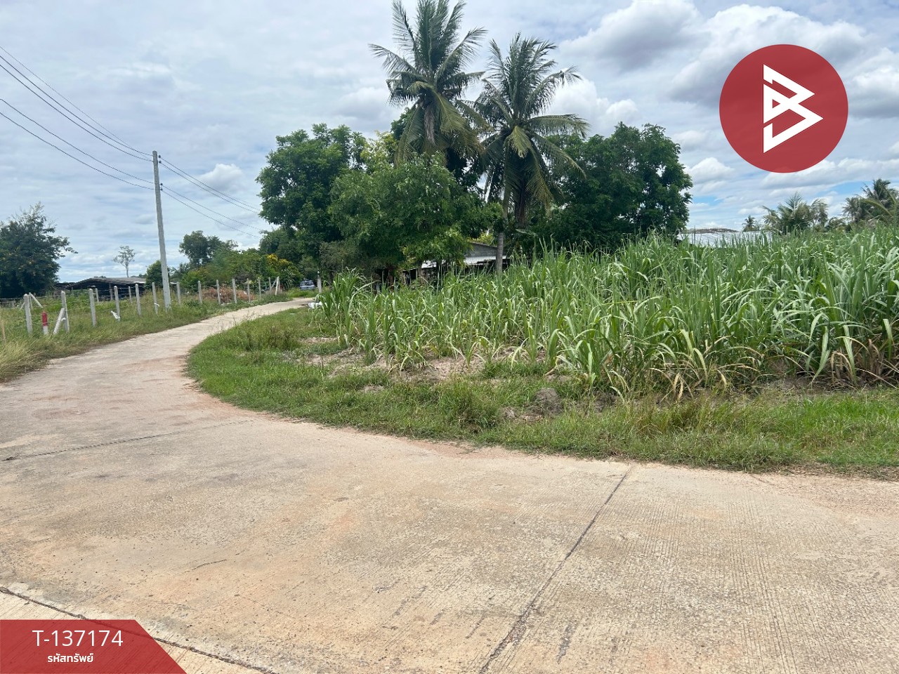 ขายที่ดิน เนื้อที่ 6 ไร่ 2 งาน 97 ตร.วา บ้านโป่ง ราชบุรี ทำเลดีฯ 12