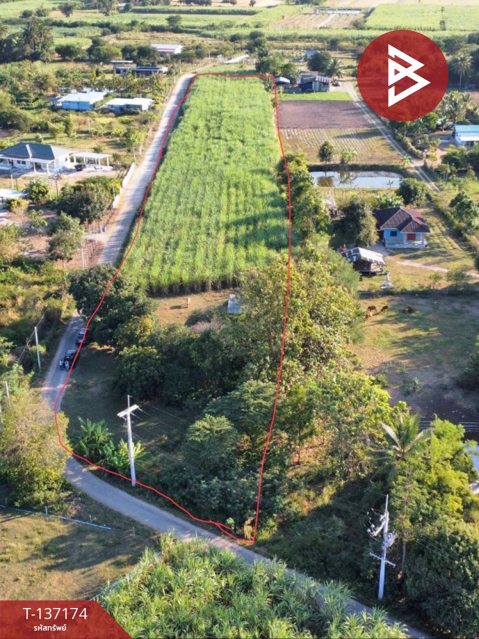 ขายที่ดิน เนื้อที่ 6 ไร่ 2 งาน 97 ตร.วา บ้านโป่ง ราชบุรี ทำเลดีฯ 4