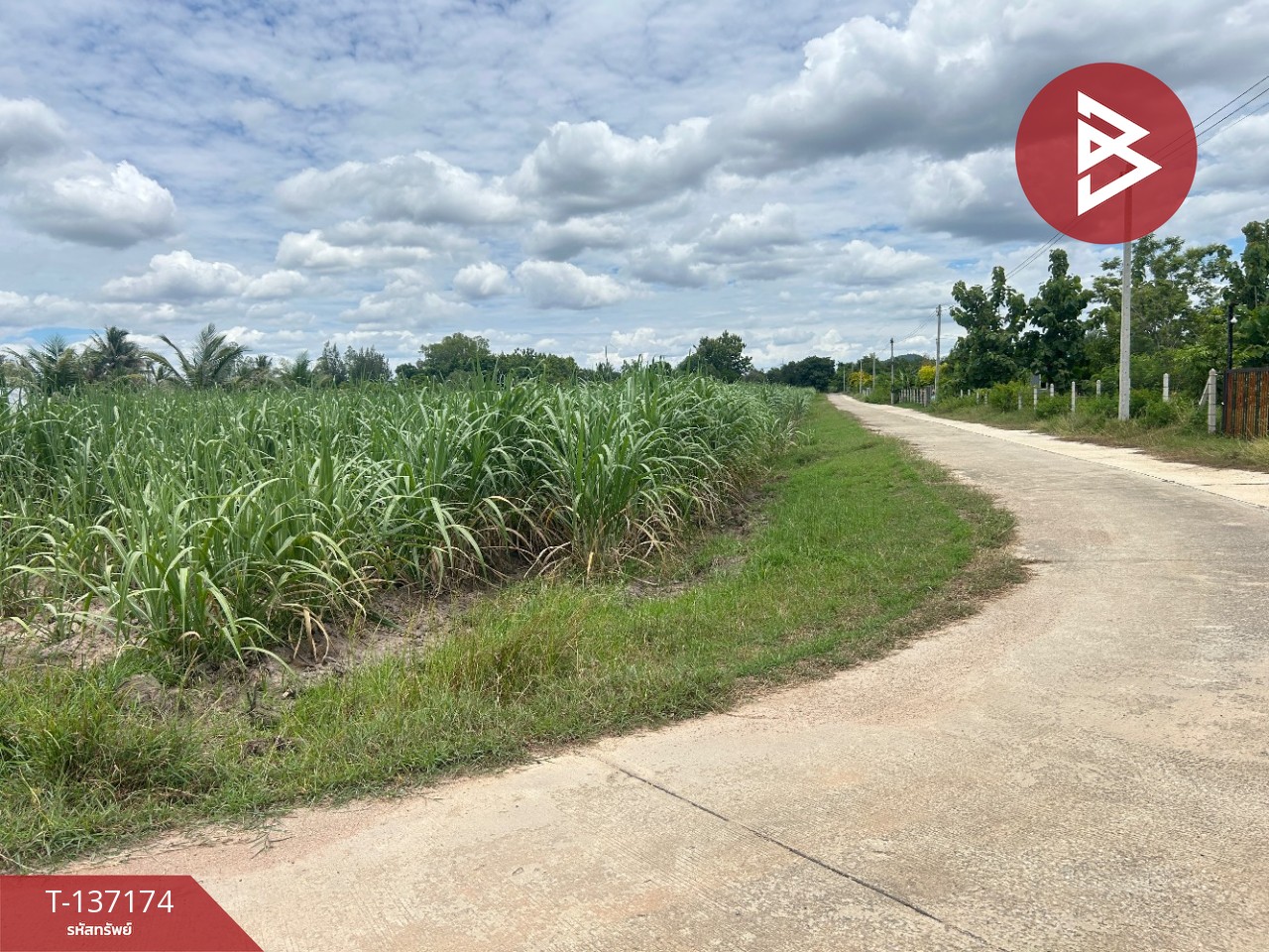 ขายที่ดิน เนื้อที่ 6 ไร่ 2 งาน 97 ตร.วา บ้านโป่ง ราชบุรี ทำเลดีฯ 11