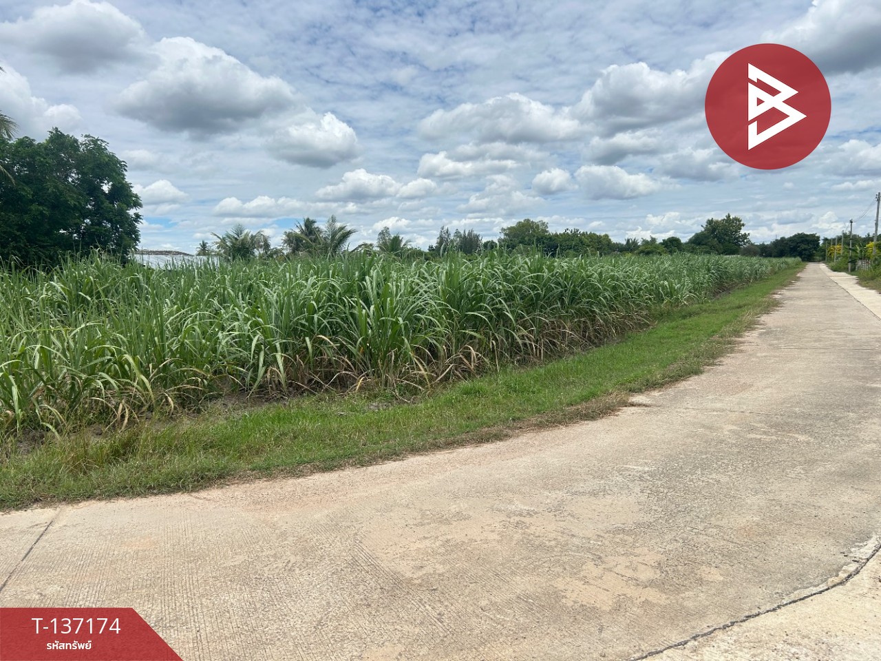 ขายที่ดิน เนื้อที่ 6 ไร่ 2 งาน 97 ตร.วา บ้านโป่ง ราชบุรี ทำเลดีฯ 10