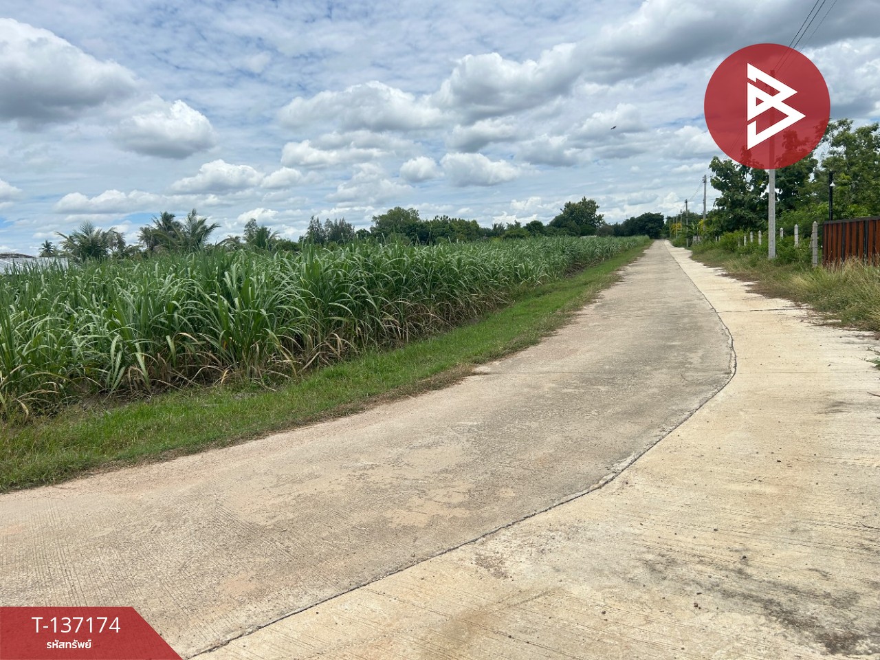 ขายที่ดิน เนื้อที่ 6 ไร่ 2 งาน 97 ตร.วา บ้านโป่ง ราชบุรี ทำเลดีฯ 9