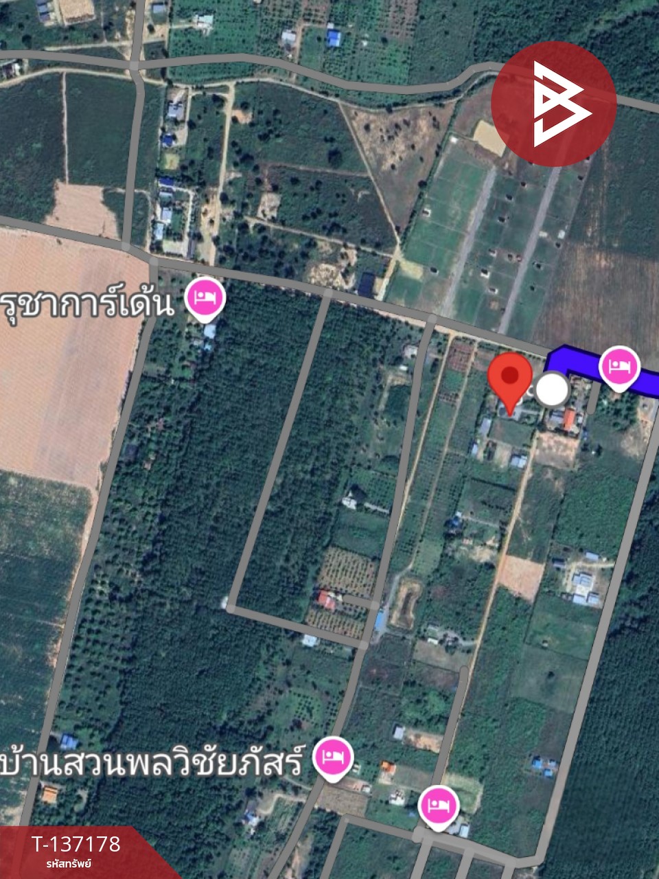 ขายที่ดิน เนื้อที่ 2 งาน ท่ายาง เพชรบุรี 4