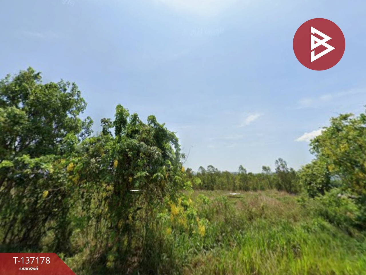 ขายที่ดิน เนื้อที่ 2 งาน ท่ายาง เพชรบุรี 1