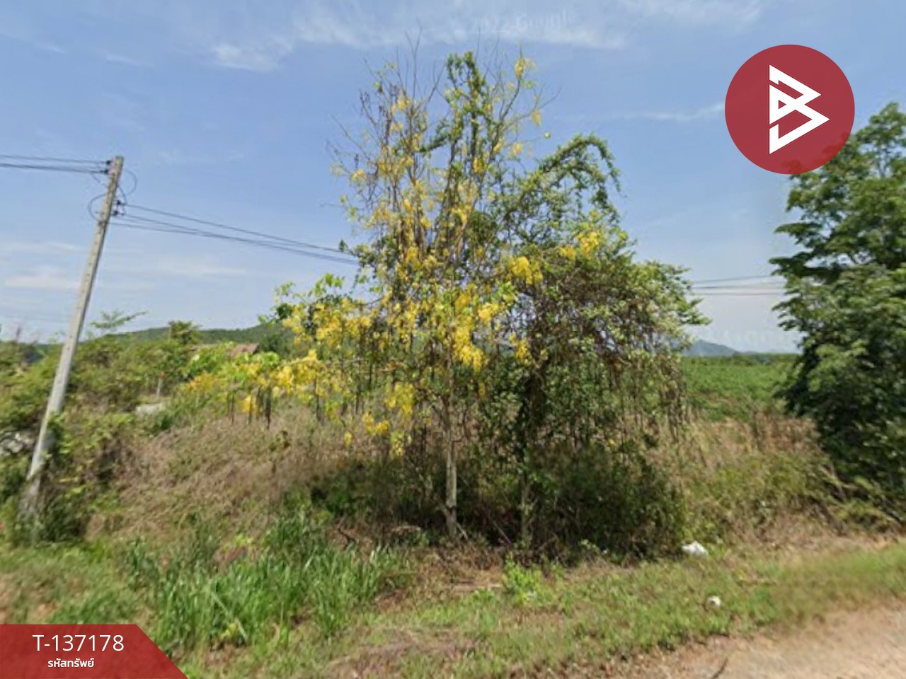 ขายที่ดิน เนื้อที่ 2 งาน ท่ายาง เพชรบุรี 2