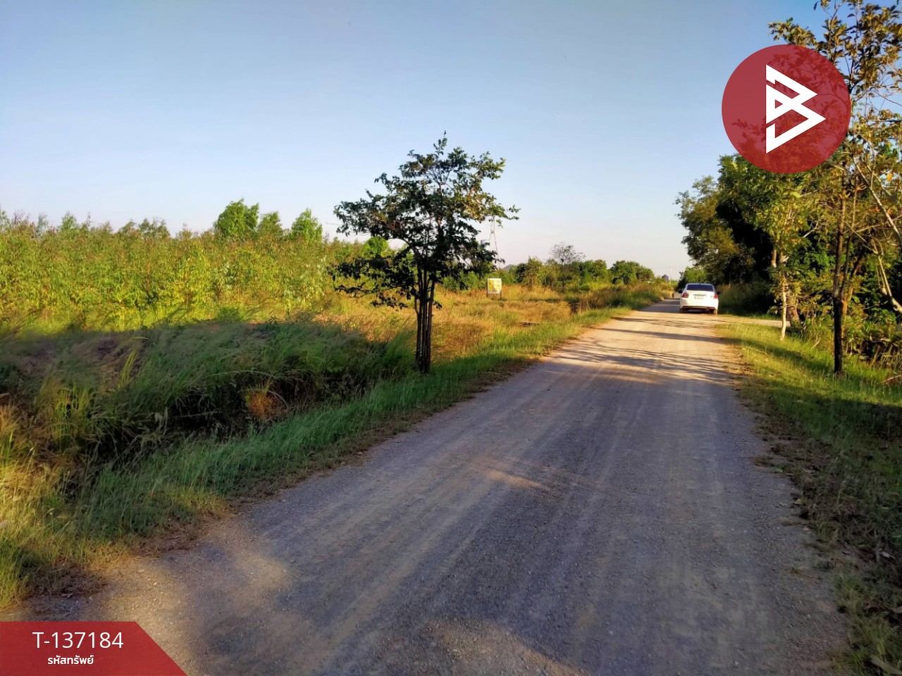 ขายด่วนที่ดิน เนื้อที่ 2 ไร่ ปากท่อ ราชบุรี 12