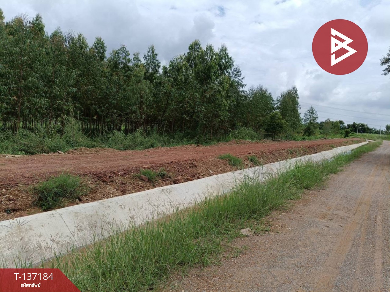 ขายด่วนที่ดิน เนื้อที่ 2 ไร่ ปากท่อ ราชบุรี 11