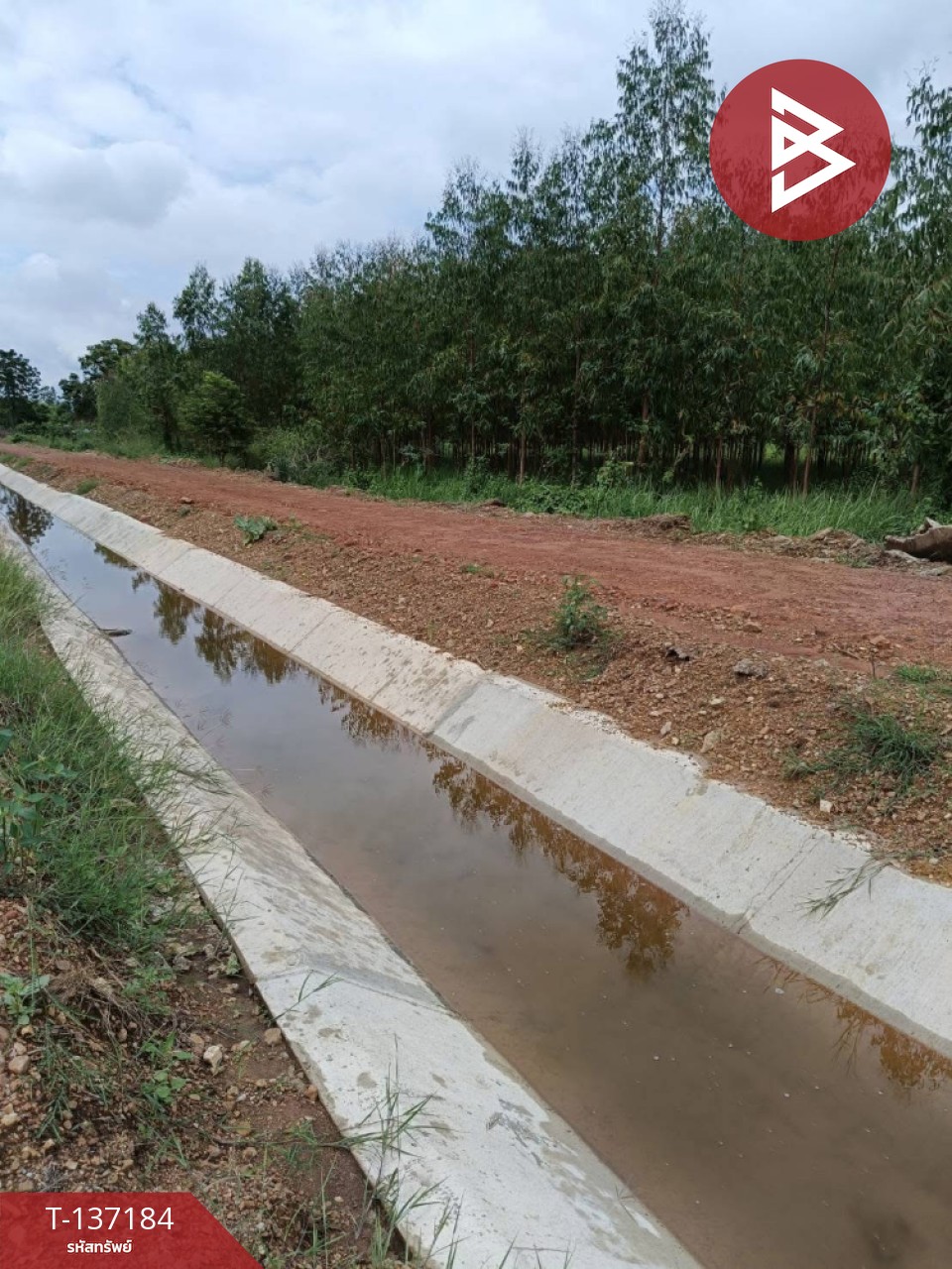 ขายด่วนที่ดิน เนื้อที่ 2 ไร่ ปากท่อ ราชบุรี 10