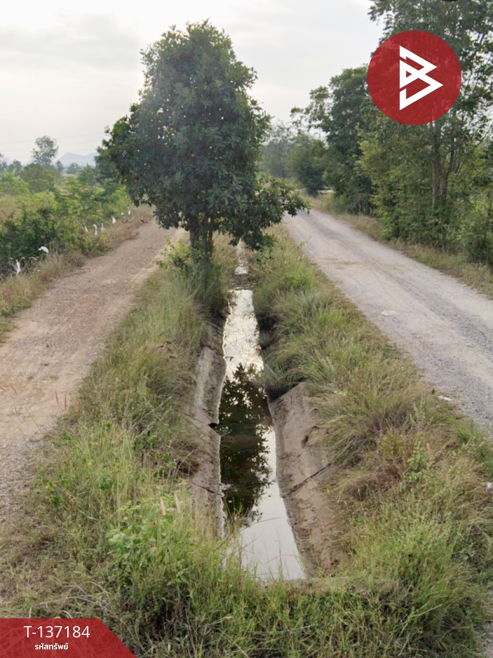 ขายด่วนที่ดิน เนื้อที่ 2 ไร่ ปากท่อ ราชบุรี 8