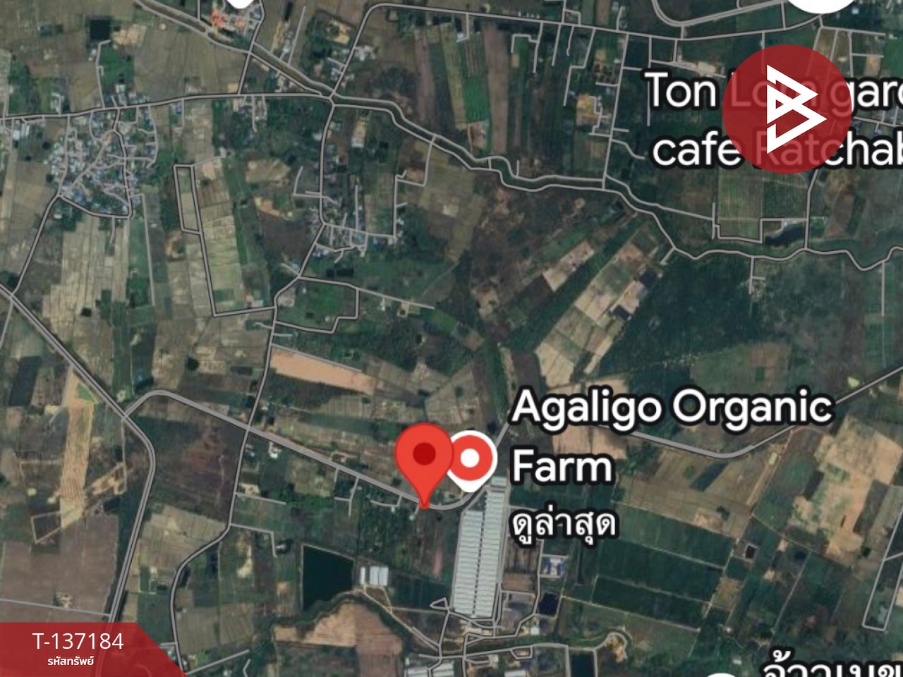 ขายด่วนที่ดิน เนื้อที่ 2 ไร่ ปากท่อ ราชบุรี 13