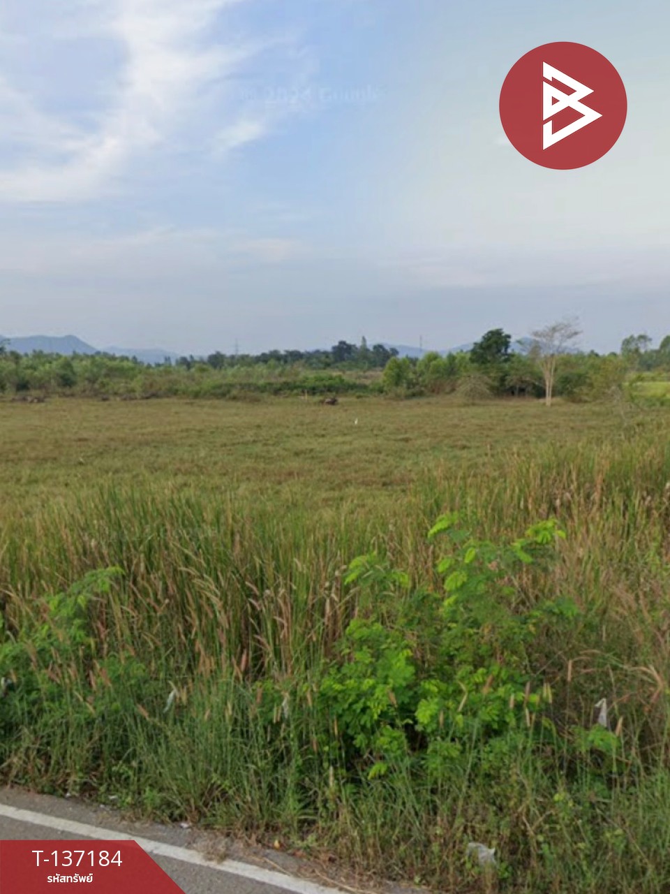 ขายด่วนที่ดิน เนื้อที่ 2 ไร่ ปากท่อ ราชบุรี 2