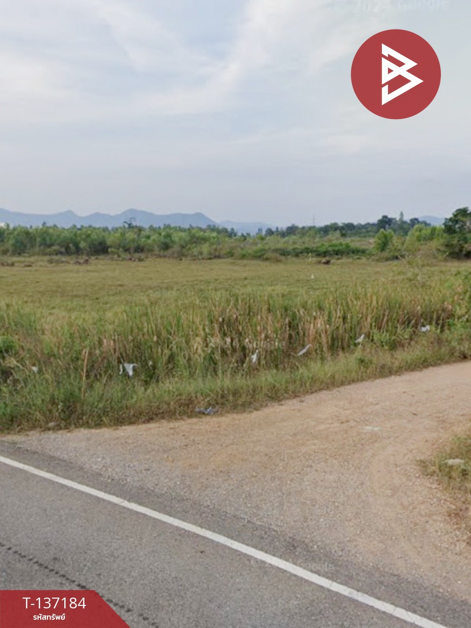 ขายด่วนที่ดิน เนื้อที่ 2 ไร่ ปากท่อ ราชบุรี 3