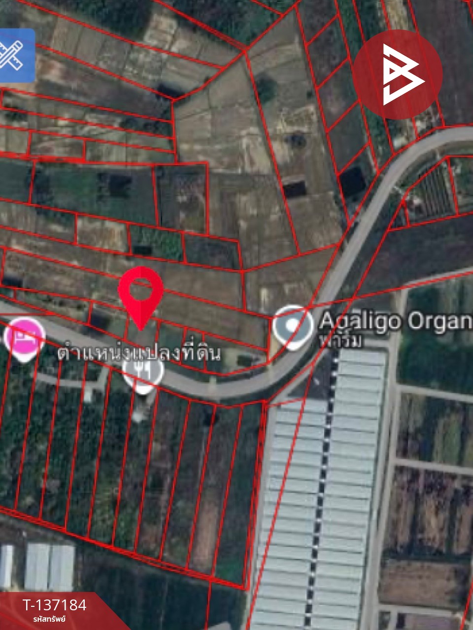 ขายด่วนที่ดิน เนื้อที่ 2 ไร่ ปากท่อ ราชบุรี 14